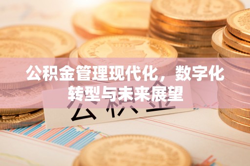 中山公积金管理现代化，数字化转型与未来展望