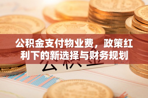 中山公积金支付物业费，政策红利下的新选择与财务规划