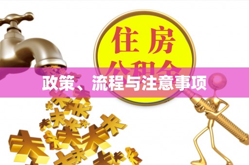 中山政策、流程与注意事项